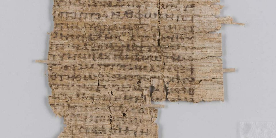 Papyrus (Bild: Universität Basel)